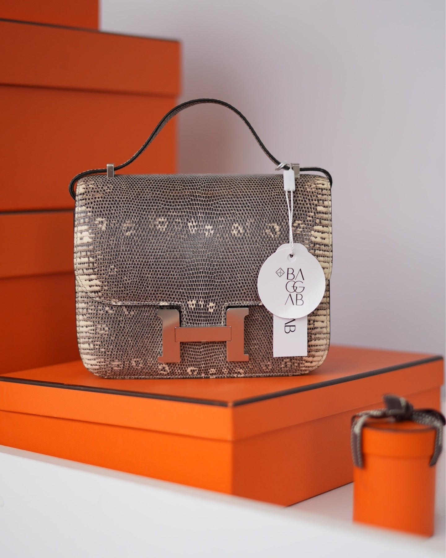 Bag Constance Tamanhos Especiais Hermès Constance 18 Mini Lizard