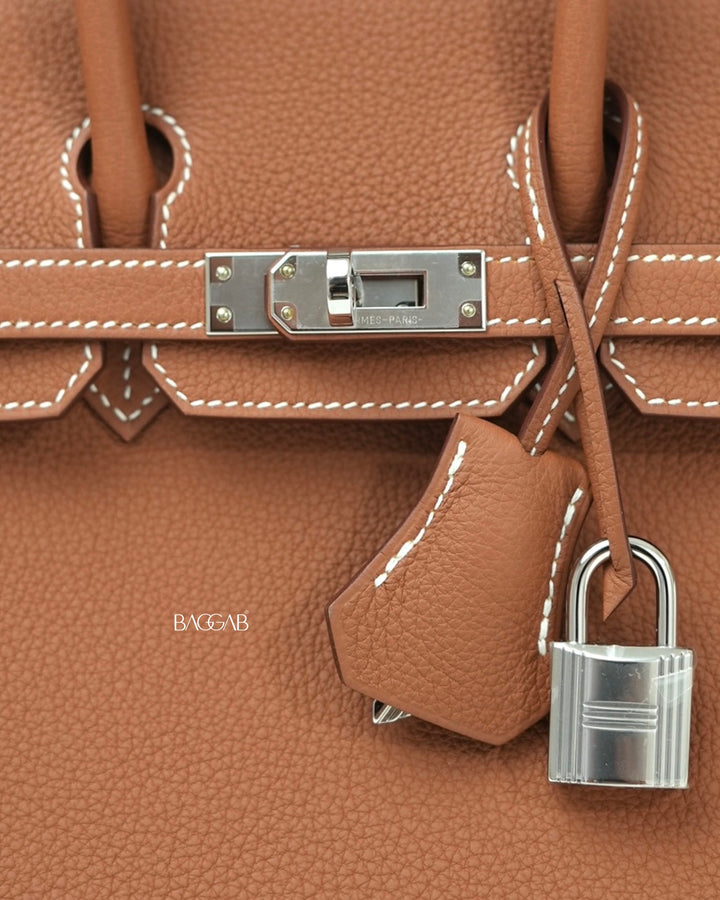Hermès Birkin 25 Retourne Togo Gold Palladium Hardware – BAGGAB